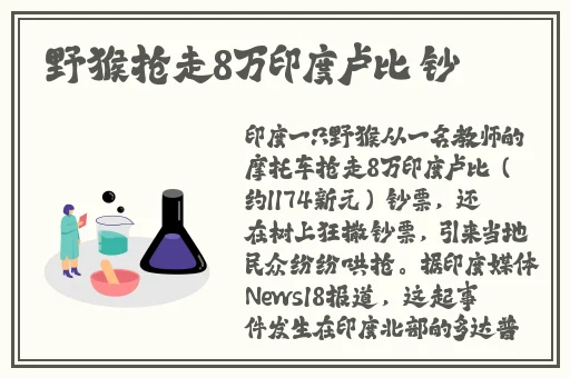 亚洲第一综合导航